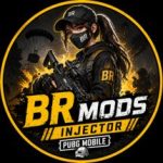 BR Mods Injector