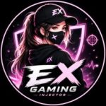 EX Gaming Injector